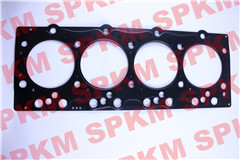 CYLINDER GASKET