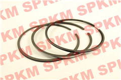 PISTON RING