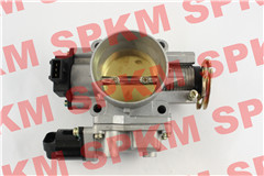 THROTTLE BODY